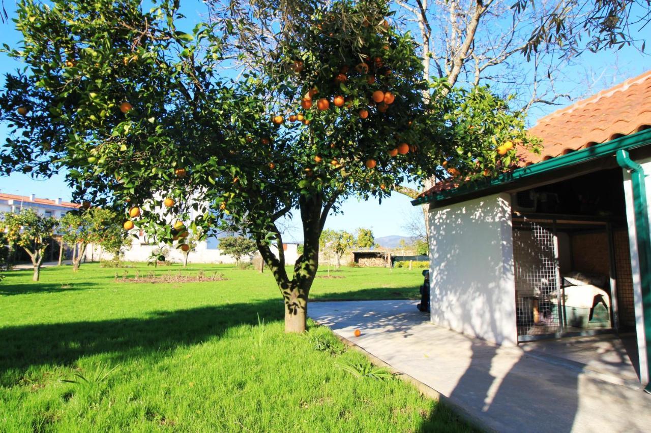 Villa Casa Dos Ouricos Ponte de Lima Exterior foto